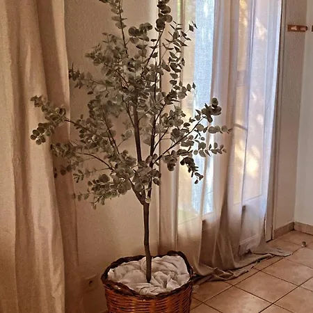 Le Mas Du Bosc Apartment